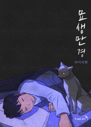 A Cat's Tale — scan VF