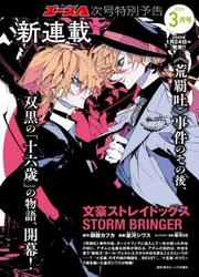 Bungou Stray Dogs: Storm Bringer — scan VF