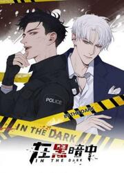 In The Dark — scan VF