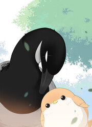 Southern Bird And Northern Bird — scan VF